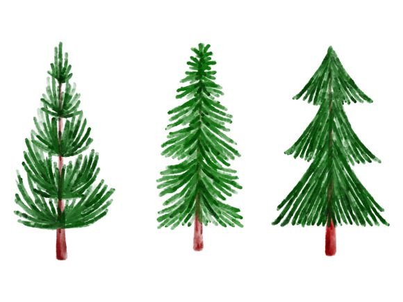Download Christmas Watercolor Pine Tree - Premium Resources